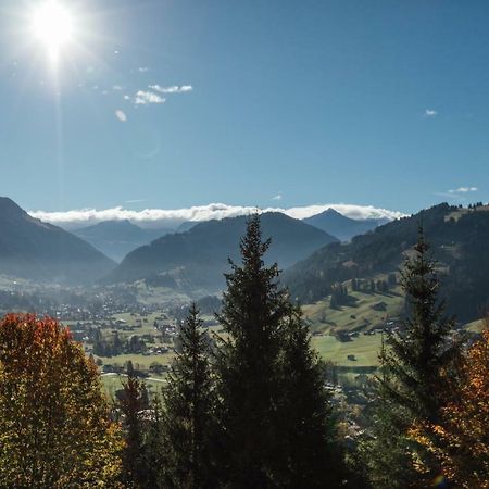 Budget Rooms Gstaad Шёнрид Экстерьер фото