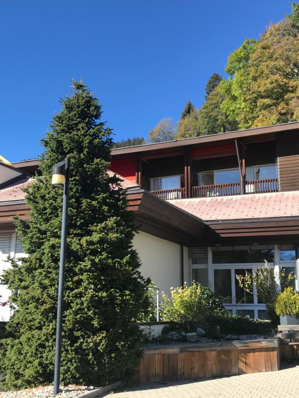 Budget Rooms Gstaad Шёнрид Экстерьер фото