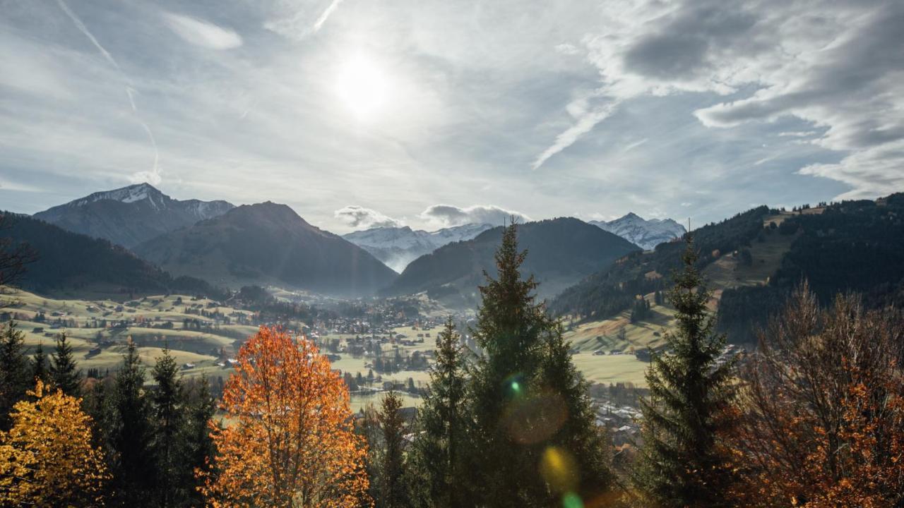 Budget Rooms Gstaad Шёнрид Экстерьер фото