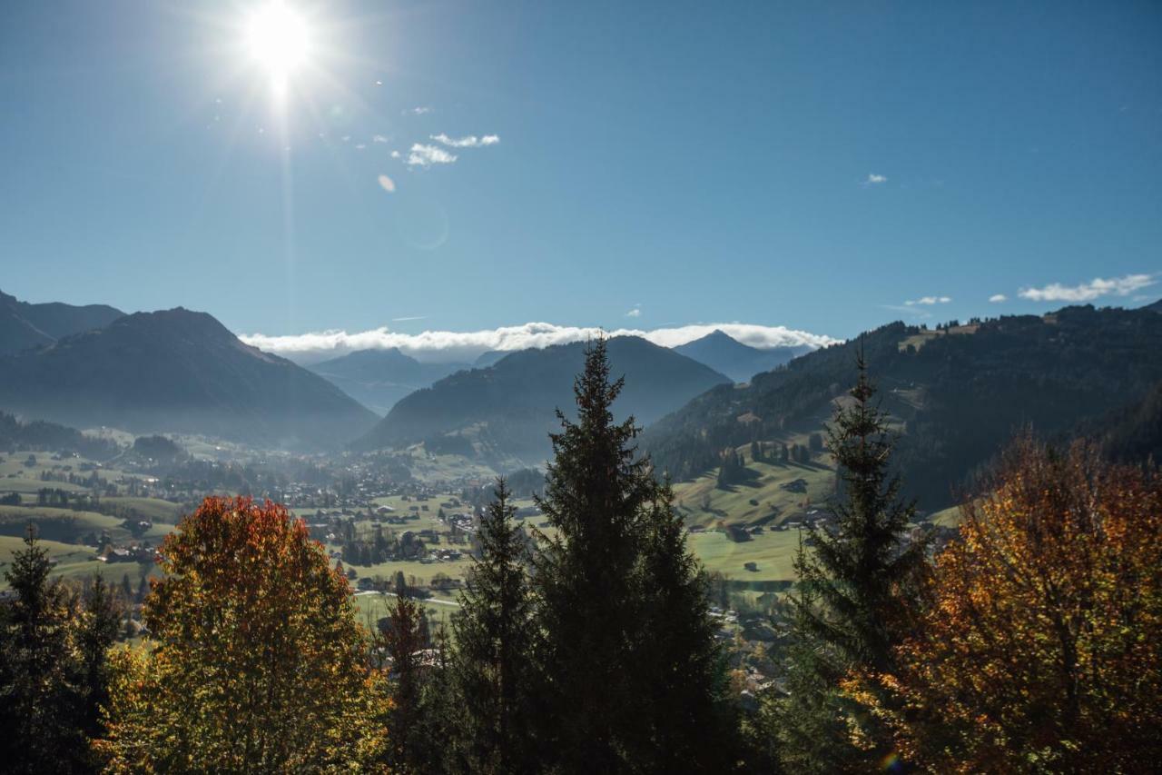 Budget Rooms Gstaad Шёнрид Экстерьер фото